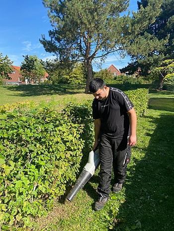 Person bedient einen Laubbläser an einer Hecke.